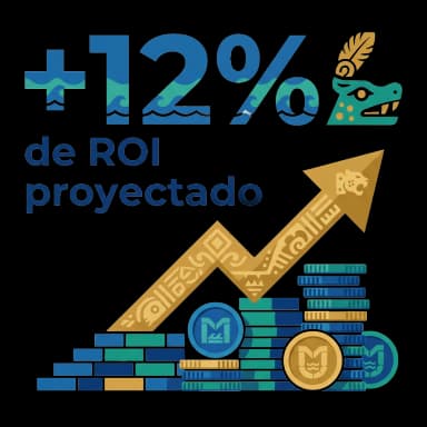 ROI Proyectado